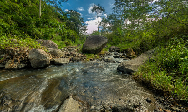 Rock and water flow in tropical riverside with rain forest background