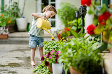 Cute little boy watering flower beds in the back yard at summer day. Child using watering can to water plants. Kid helping with everyday chores. - obrazy, fototapety, plakaty