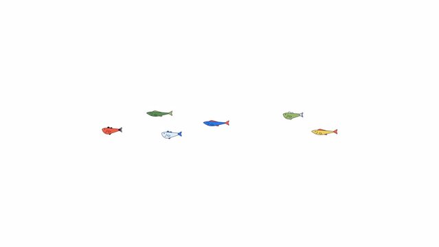 Exotic fishes school swimming line 2D characters animation. Wild undersea ecosystem flat color cartoon 4K video, alpha channel. Saltwater creatures animated personages on white background