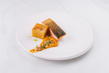 Gourmet salmon fillet on elegant white plate