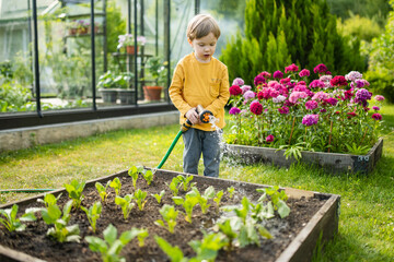 Cute little boy watering flower beds in the garden at summer day. Child using garden hose to water vegetables. Kid helping with everyday chores. - obrazy, fototapety, plakaty