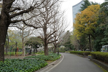 Tokyo, Japan - April 02, 2024 : Travelling to Japan is so amazing and love the city 