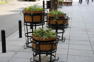 Fototapeta na wymiar wooden flower pots with flowers in a metal frame, installed on paving slabs, on a city street