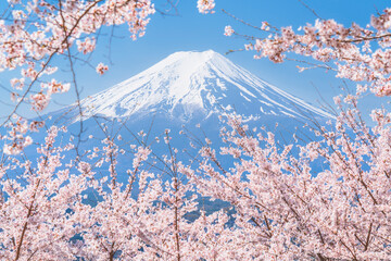 満開の桜と富士山【山梨県・富士吉田市】　
Mt. Fuji and cherry blossoms in full...