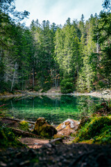 Blauer See im Wald Eibsee