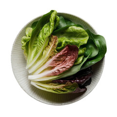 cabbage isolated on white background, clipping path, full depth of field