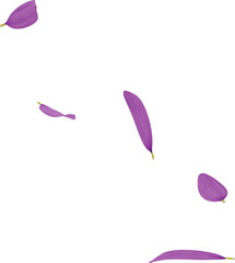 falling daisy petals