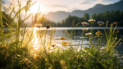 Deurstickers Paysage d'un coucher de soleil sur un lac en arrière-plan, avec au premier plan des herbes, plantes. Arrière-plan de flou. Reflet du soleil sur l'eau. Pour conception et création graphique. © FlyStun