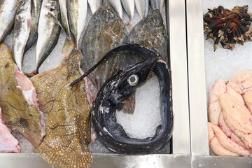 Black scabbard fish in Portugal