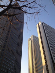 Skyscrapers in the city. Urban minimalist shot