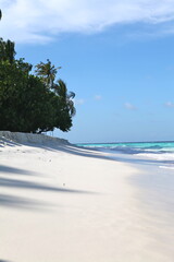 Vertical shot of white sand tropical beach under blue sky