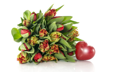 red tulips on transparent background png file