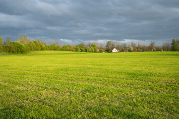 landscape featuring a lush green field