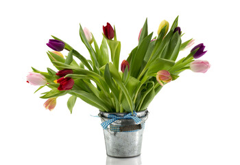 bouquet of tulips in metal bucket on transparent background png file