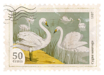Sawn png post stamp, ephemera sticker, transparent background