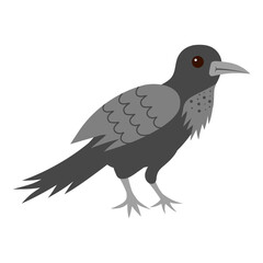 Fototapeta premium Cute crow. Cartoon forest animal. Vector illustration.