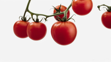 closeup tomato