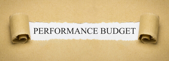 Performance Budget