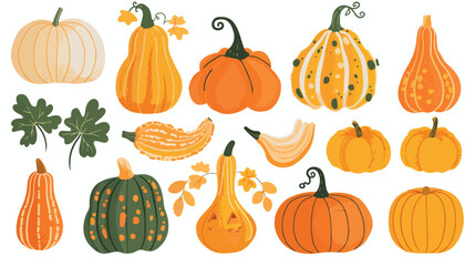 Autumn pumpkin butternut squash and gourd of different