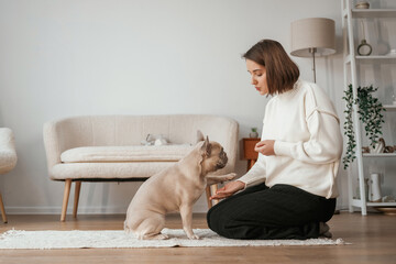 Process of training, giving treats. Young woman is with her pug dog at home