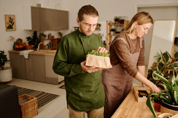 Young man taking care of tiny wheat germs growing in small box while standing next to his wife sowing seeds in containers on windowsill