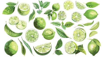 Composition with whole green limes and leaves. Full 