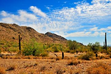 San Tan Mountains Sonora Desert Arizona - 788307816