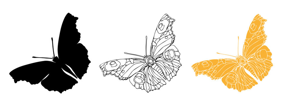 Butterfly black ink line art and detail silhouette illustrations for laser cutting. Insect set for coloring page, tattoo, hand drawn stickers. Vector illustration, isolate on white background