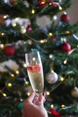 Champagne and Christmas Tree