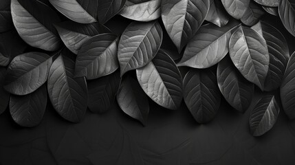 textures of abstract black leaves for tropical leaf background flat lay dark nature concept tropical leaf digital aiimage