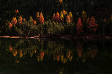 Herbst in den Alpen im Albulatal