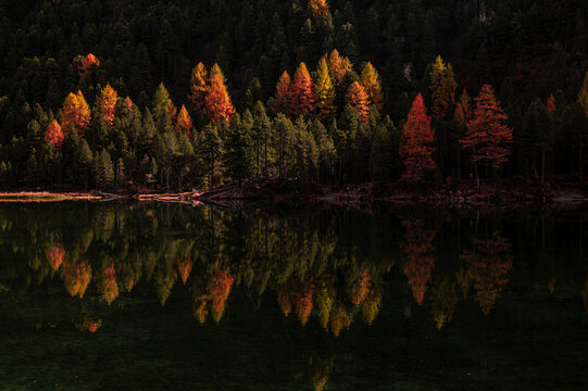 Herbst in den Alpen im Albulatal