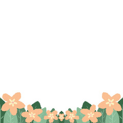 flower with leaves frame