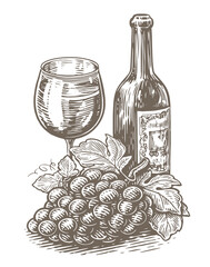 Wine bottle and glass, cluster of grapes. Winery, vineyard sketch. Vintage vector illustration
