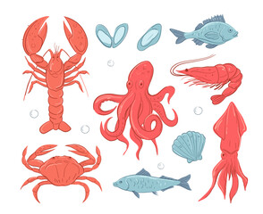 Seafood. set of vector  illustrations, crab, lobster, shrimp, fish