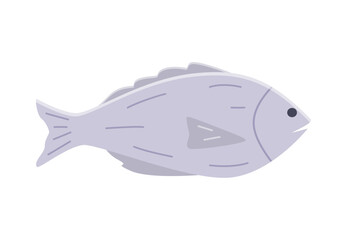 Sea fish or river doodle icon. Vector illustration of a carp, dorado, isolated on white.