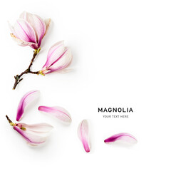 Magnolia blossom frame border isolated on white background.