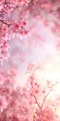 Obraz na płótnie Canvas Vertical Cherry blossom frame use as background.