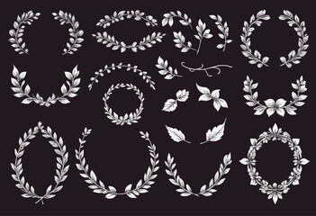 Set of hand drawn floral frames dividers vector image