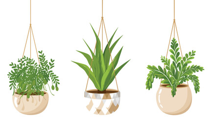 Wall houseplant in pot with strings. Trendy green han - obrazy, fototapety, plakaty