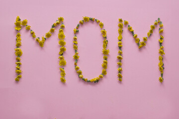 Word mom written with flowers on a pink background. Mother’s Day 