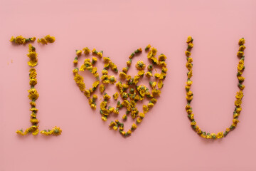 heart made of flowers. I love you on pink background 