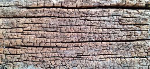 old wood texture Wooden lignin deep rough pattern template