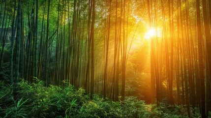 Gardinen Serene Dawn in Tropical Bamboo Forest © Nick Alias