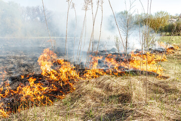Burning dry grass on the field. Fire in the field. Environmental disaster, environment, climate change, environmental pollution.