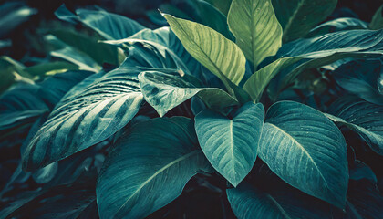 Closeup tropical green leaves background, palm leaf, floral jungle concept