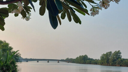 Scenic Beauty along the Bang Pakong River in Chachoengsao Province, Thailand.