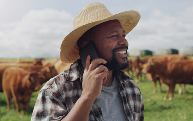 Black man, farmer and phone call with cows for conversation, agriculture or communication in countryside. Happy African or male person talking on mobile smartphone with livestock or cattle on farm