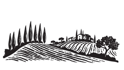 Vineyard landscape, Sketch, hand drawn illustrations.
