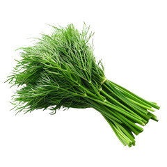 Fresh dill isolated On isolated transparent PNG background